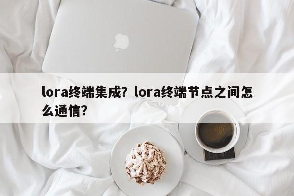 lora终端集成？lora终端节点之间怎么通信？-第1张图片