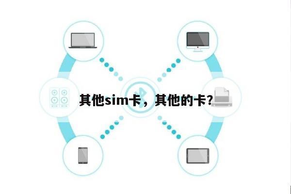 其他sim卡，其他的卡？-第1张图片