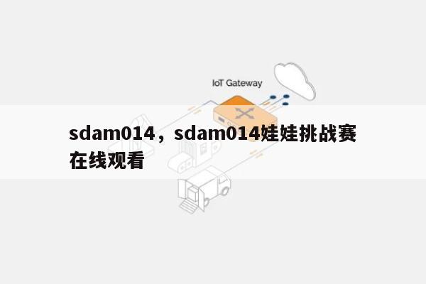 sdam014，sdam014娃娃挑战赛在线观看-第1张图片