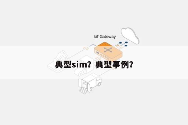 典型sim？典型事例？-第1张图片