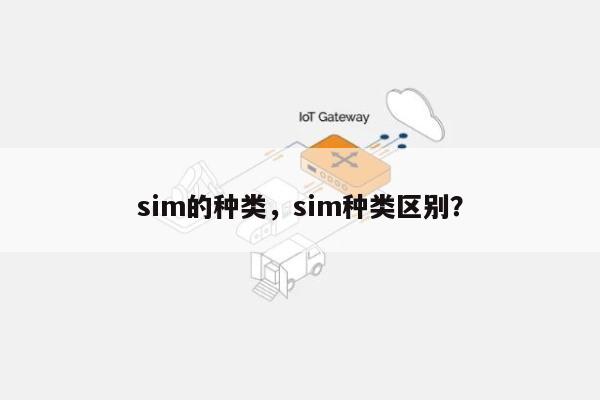 sim的种类，sim种类区别？-第1张图片