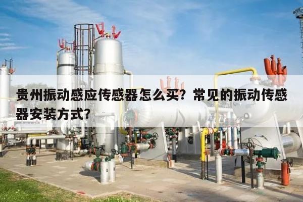 贵州振动感应传感器怎么买?常见的振动传感器安装方式?-第1张图片 贵州振动感应传感器怎么买?常见的振动传感器安装方式?-第1张图片