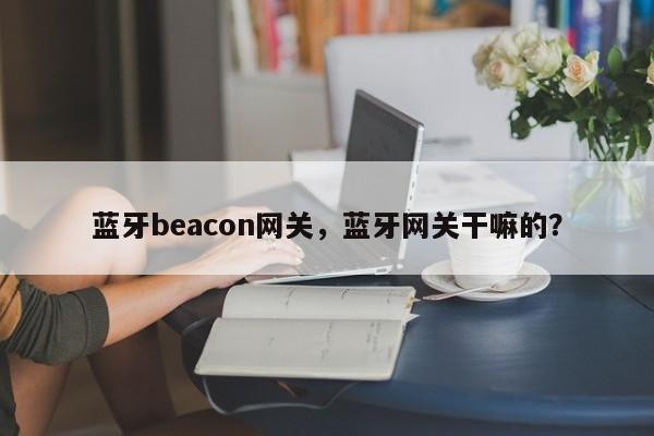 蓝牙beacon网关,蓝牙网关干嘛的?-第1张图片 蓝牙beacon网关,蓝牙网关干嘛的?-第1张图片