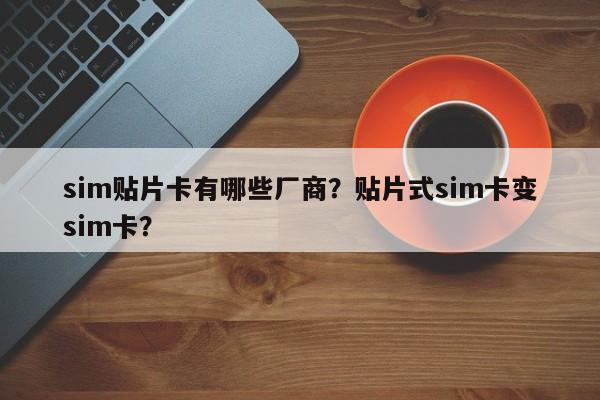 sim贴片卡有哪些厂商？贴片式sim卡变sim卡？-第1张图片