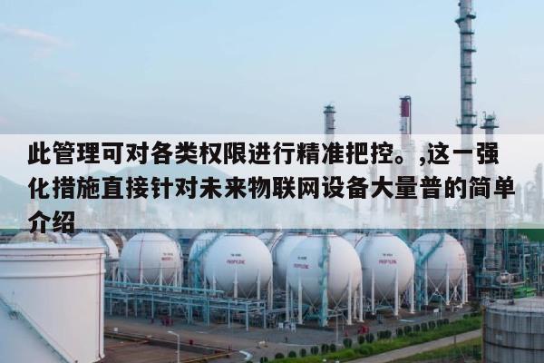 此管理可对各类权限进行精准把控。,这一强化措施直接针对未来物联网设备大量普的简单介绍-第1张图片