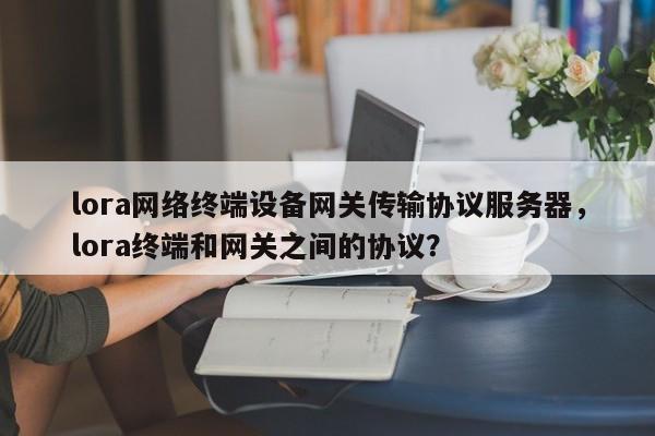 lora网络终端设备网关传输协议服务器，lora终端和网关之间的协议？-第1张图片