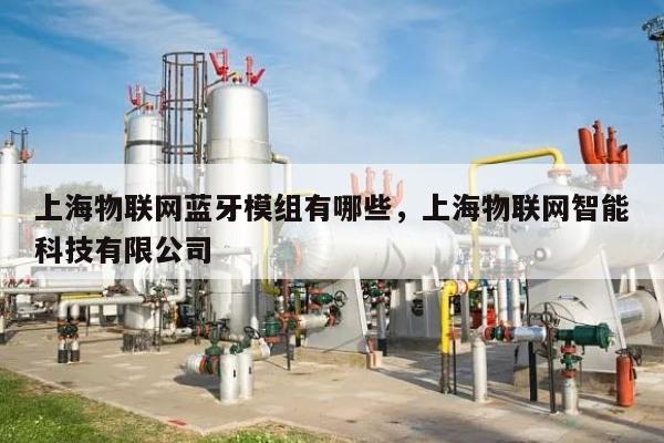 上海物联网蓝牙模组有哪些,上海物联网智能科技有限公司-第1张图片 上海物联网蓝牙模组有哪些,上海物联网智能科技有限公司-第1张图片