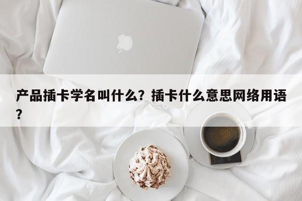 产品插卡学名叫什么？插卡什么意思网络用语？-第1张图片