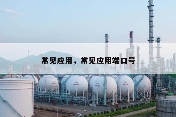 常见应用,常见应用端口号-第1张图片 常见应用,常见应用端口号-第1张图片