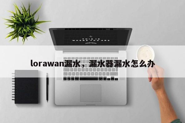 lorawan漏水，漏水器漏水怎么办-第1张图片