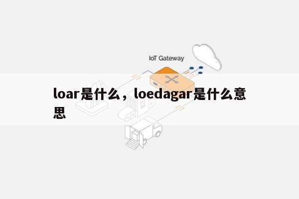 loar是什么，loedagar是什么意思-第1张图片