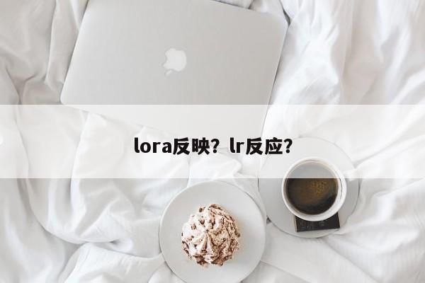 lora反映？lr反应？-第1张图片