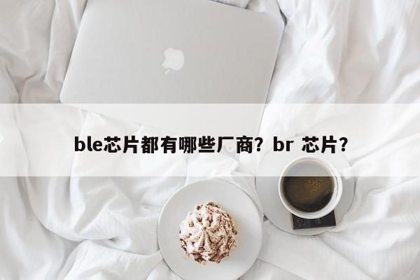 ble芯片都有哪些厂商？br 芯片？-第1张图片