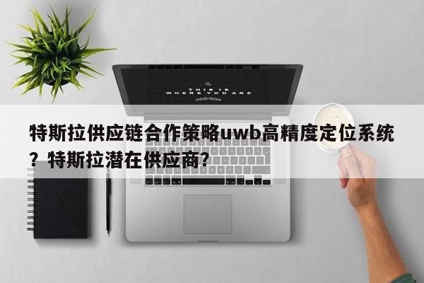 特斯拉供应链合作策略uwb高精度定位系统？特斯拉潜在供应商？-第1张图片