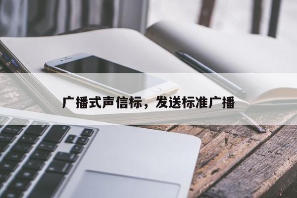 广播式声信标，发送标准广播-第1张图片