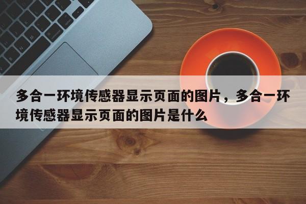 多合一环境传感器显示页面的图片，多合一环境传感器显示页面的图片是什么-第1张图片
