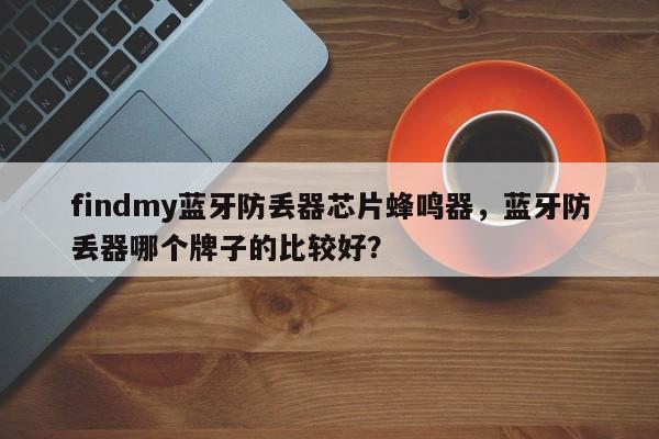 findmy蓝牙防丢器芯片蜂鸣器，蓝牙防丢器哪个牌子的比较好？-第1张图片
