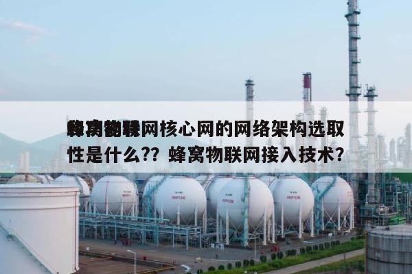 蜂窝物联网核心网的网络架构选取和功能特性是什么?？蜂窝物联网接入技术？-第1张图片