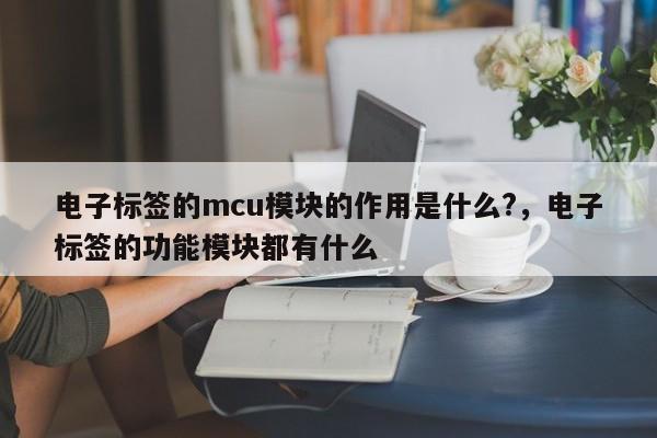 电子标签的mcu模块的作用是什么?，电子标签的功能模块都有什么-第1张图片