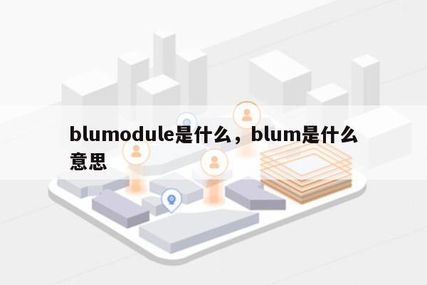 blumodule是什么，blum是什么意思-第1张图片