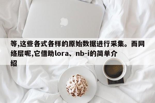 等,这些各式各样的原始数据进行采集。而网络层呢,它借助lora、nb-i的简单介绍-第1张图片