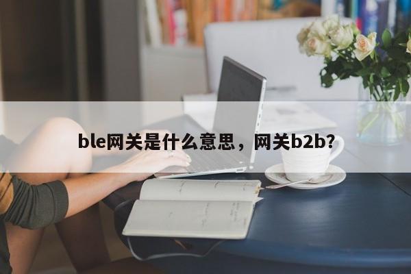 ble网关是什么意思,网关b2b?-第1张图片 ble网关是什么意思,网关b2b?-第1张图片