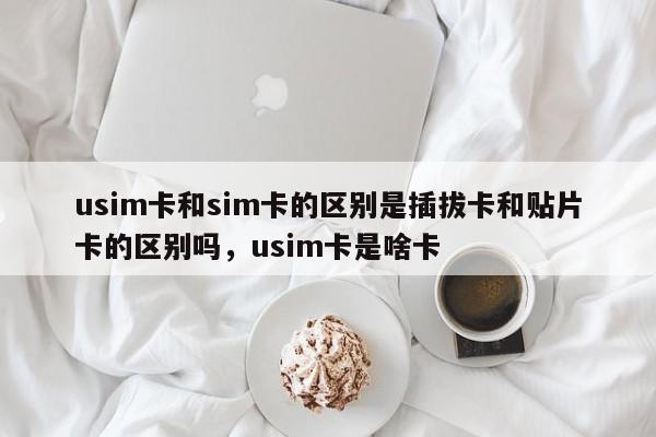 usim卡和sim卡的区别是插拔卡和贴片卡的区别吗,usim卡是啥卡-第1张图片 usim卡和sim卡的区别是插拔卡和贴片卡的区别吗,usim卡是啥卡-第1张图片
