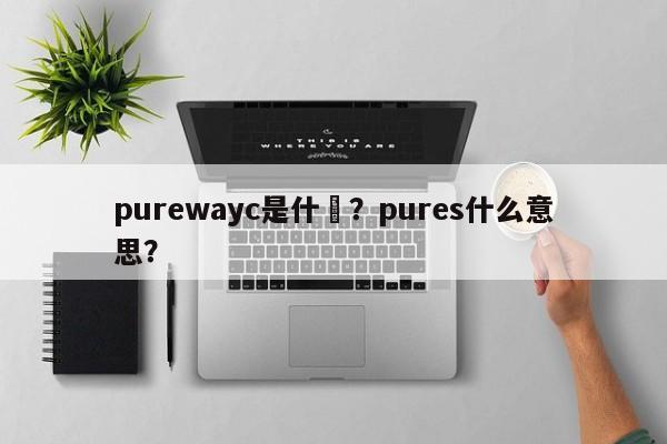 purewayc是什麼？pures什么意思？-第1张图片