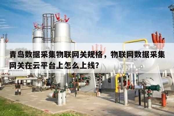 青岛数据采集物联网关规格,物联网数据采集网关在云平台上怎么上线?-第1张图片 青岛数据采集物联网关规格,物联网数据采集网关在云平台上怎么上线?-第1张图片