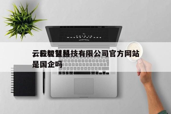 云粒智慧科技有限公司官方网站，云粒智慧是国企吗-第1张图片