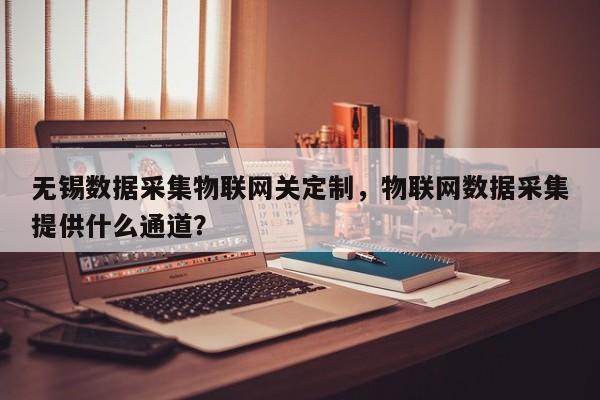 无锡数据采集物联网关定制，物联网数据采集提供什么通道？-第1张图片