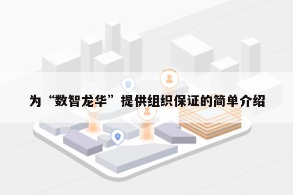 为“数智龙华”提供组织保证的简单介绍-第1张图片