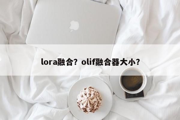 lora融合？olif融合器大小？-第1张图片