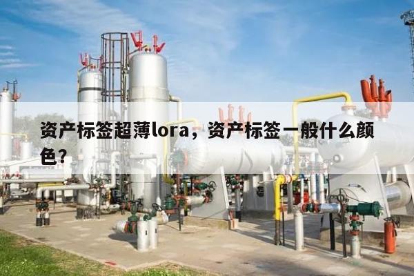 资产标签超薄lora，资产标签一般什么颜色？-第1张图片