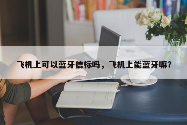 飞机上可以蓝牙信标吗，飞机上能蓝牙嘛？-第1张图片