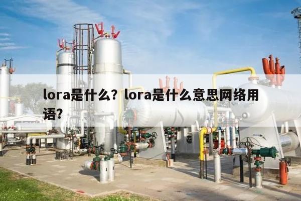 lora是什么？lora是什么意思网络用语？-第1张图片
