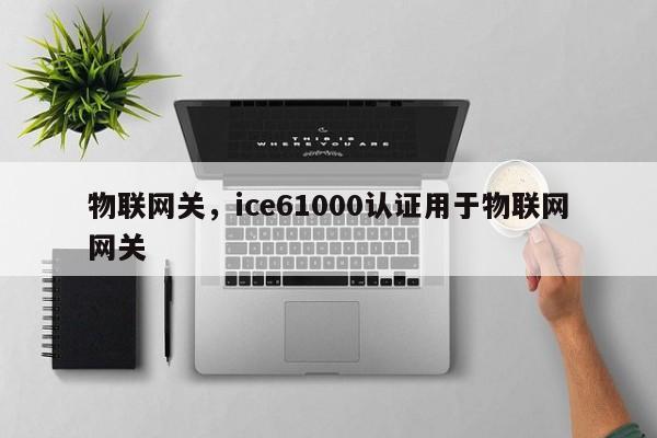 物联网关，ice61000认证用于物联网网关-第1张图片