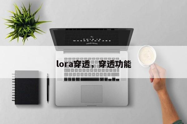 lora穿透，穿透功能-第1张图片