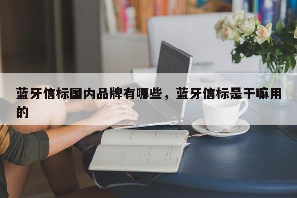 蓝牙信标国内品牌有哪些，蓝牙信标是干嘛用的-第1张图片