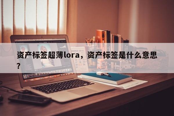 资产标签超薄lora，资产标签是什么意思？-第1张图片
