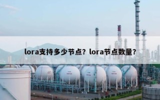 lora支持多少节点？lora节点数量？