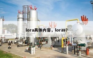 lora具体内容，loras？