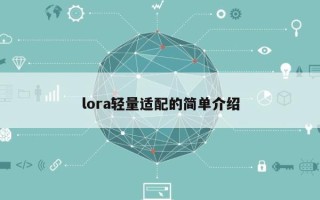 lora轻量适配的简单介绍