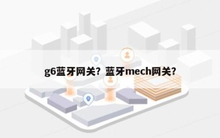 g6蓝牙网关？蓝牙mech网关？