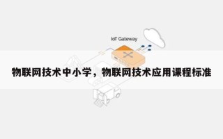 物联网技术中小学，物联网技术应用课程标准