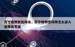 苏宁极物智能网关，苏宁极物密码锁怎么进入管理员界面
