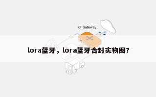 lora蓝牙，lora蓝牙合封实物图？