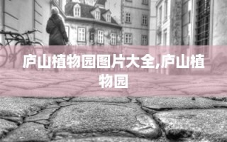 庐山植物园图片大全,庐山植物园