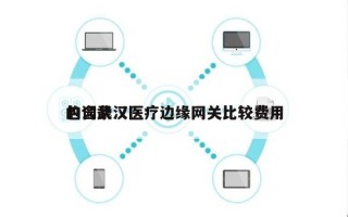 包含武汉医疗边缘网关比较费用
的词条