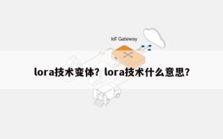 lora技术变体？lora技术什么意思？